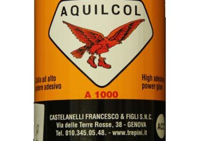 Acquilcol da 1Kg